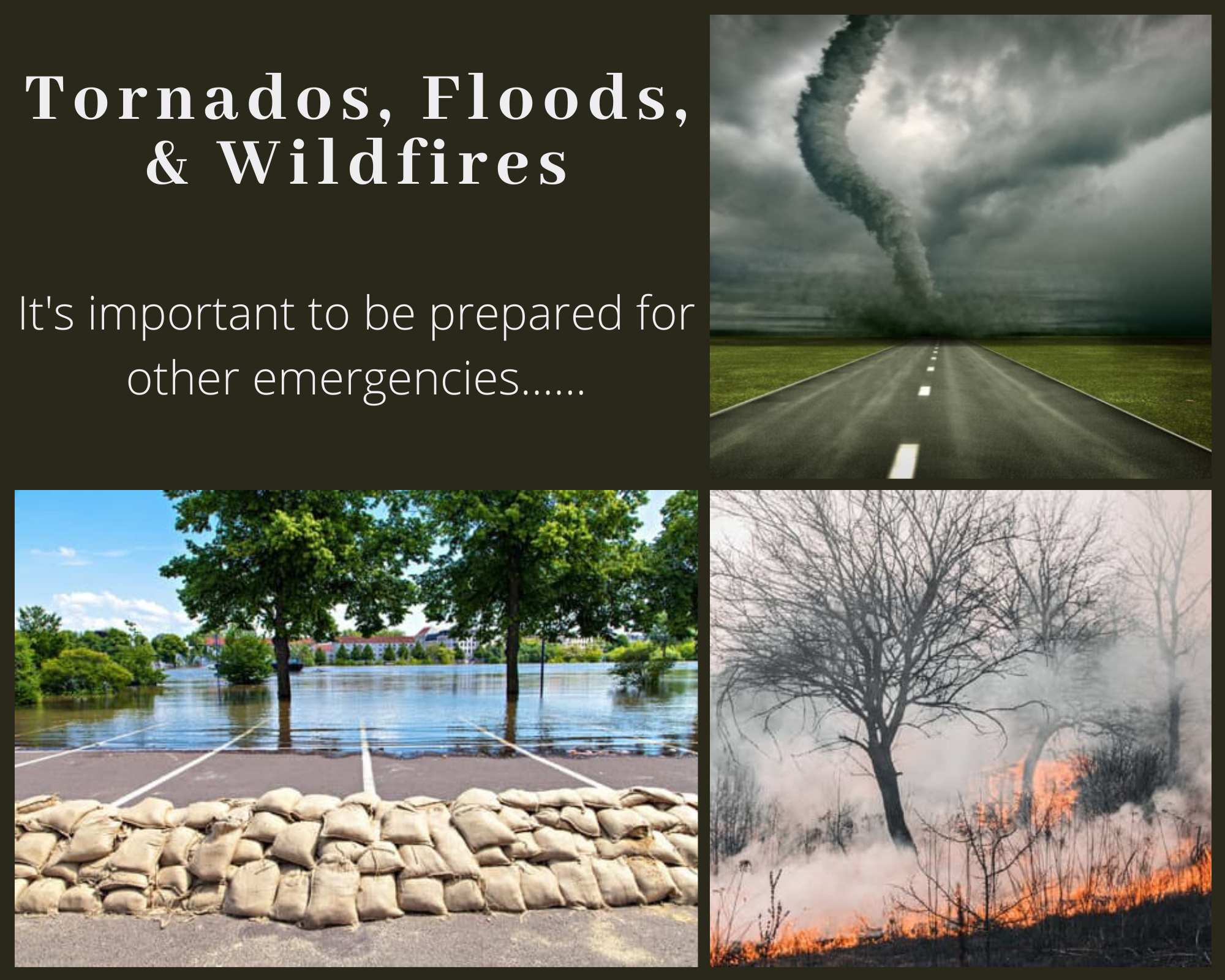 Tornados, Floods, & Wildfires Collage