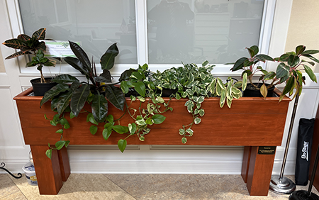 Planter