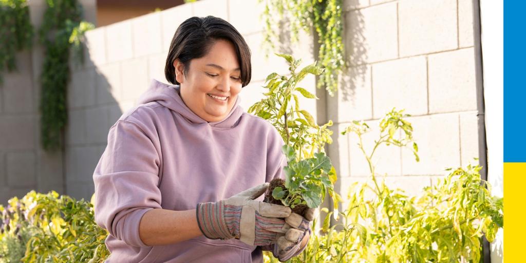 photo of a person with short black hair wearing a purple sweatshirt and gardening gloves, they are holding a plant and standing in front of a wall with plants