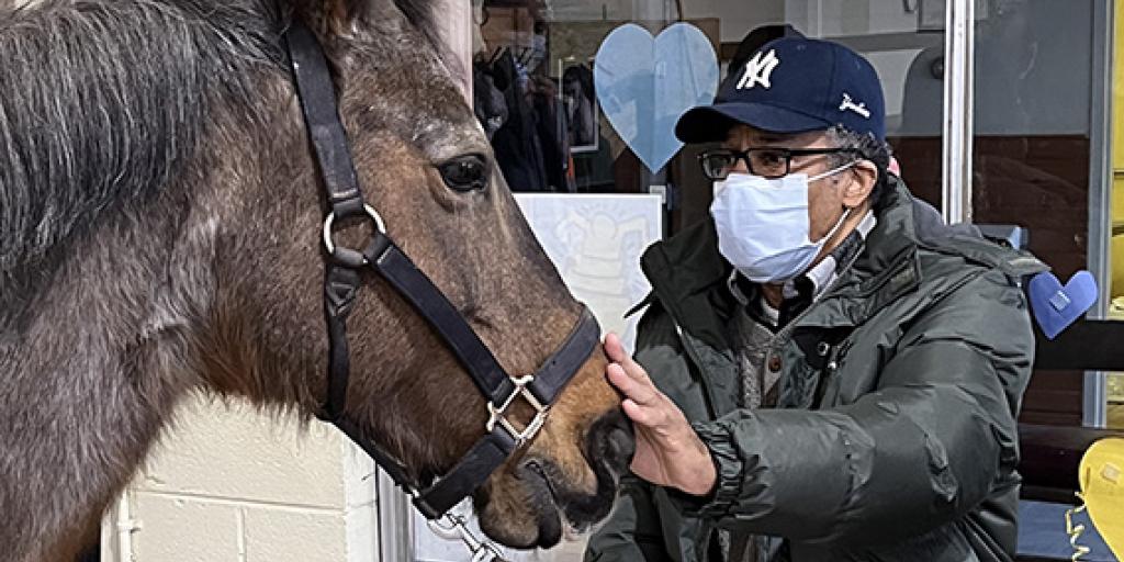An elderly Veteran reaches out to stroke the muzzle of a pony.