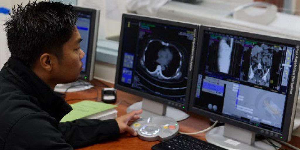 Staff member looking at medical graphics on computer