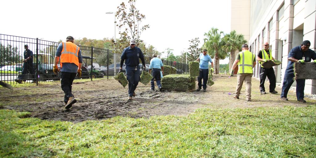 Pictured in photo: Orlando VA Healthcare System Grounds Crew working on a sod-laying project.