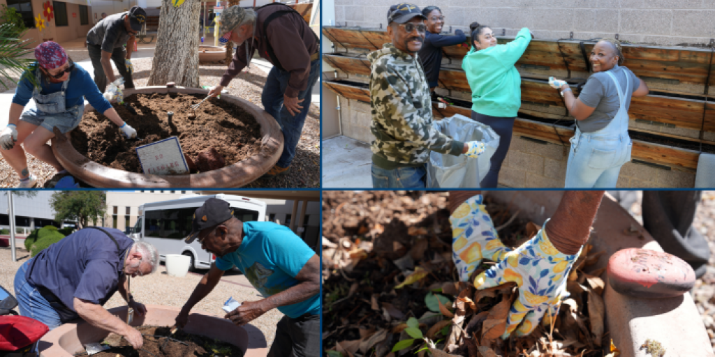 Phoenix VA Veterans participate in gardening group activities around the Carl T. Hayden VAMC