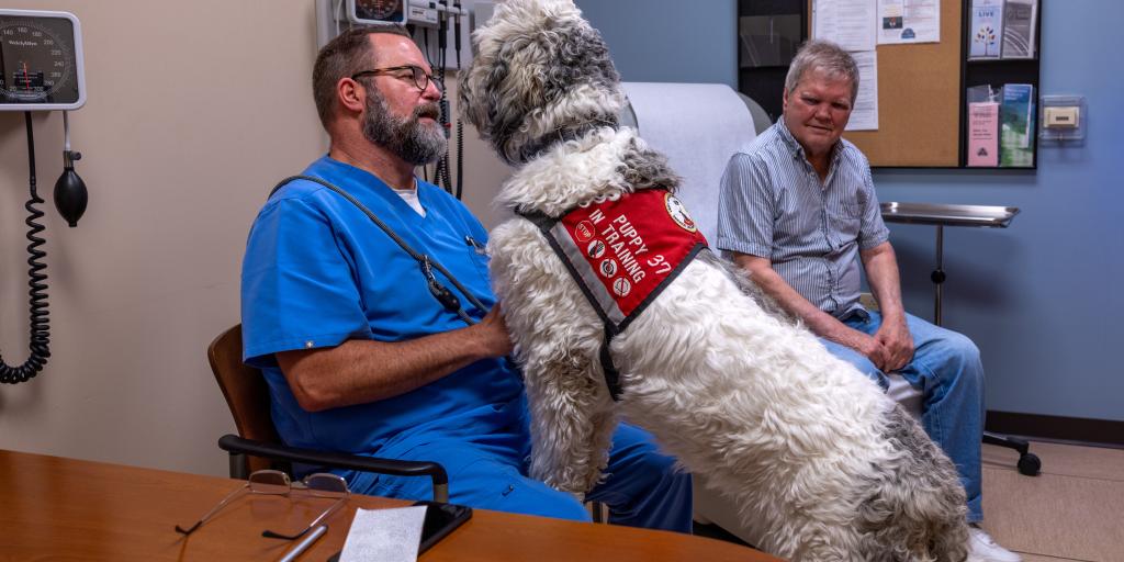 Grover the service dog in training