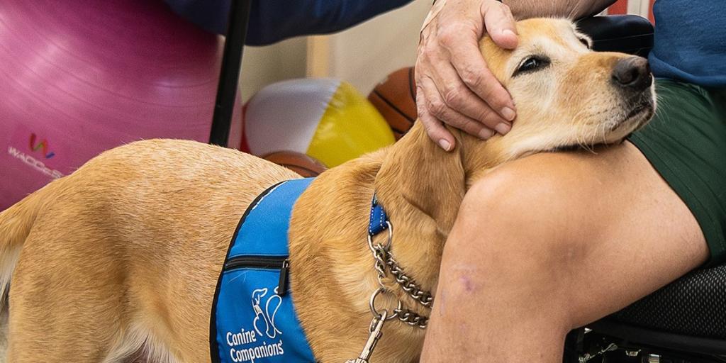 Clara, a facility therapy dog, comforts at Veteran at the Richmond VA Medical Center. 