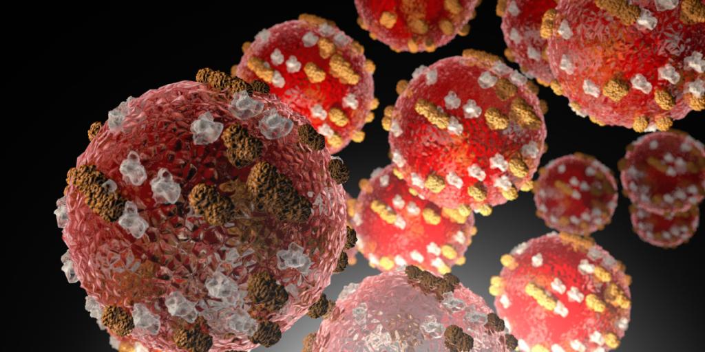 Microscopic closeup of measles.
