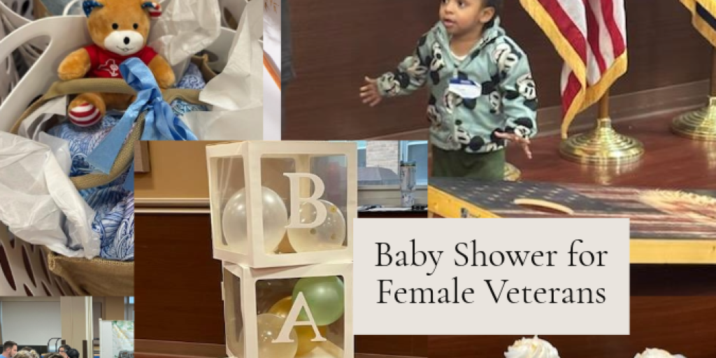 Albany VA Baby Shower Collage Aug 2025