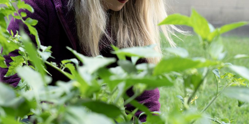 Katie Papke, HUD-VASH Social Work Case Manager and Program Coordinator tends to a garden in Grand Rapids, Michigan.