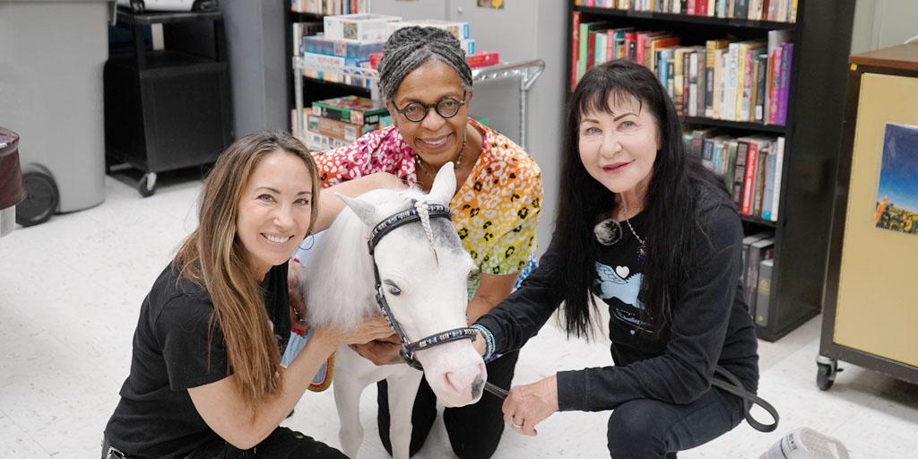 mini horse and team photo