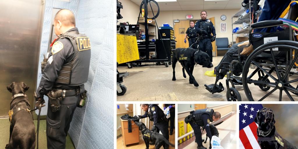 K9 and handler searching