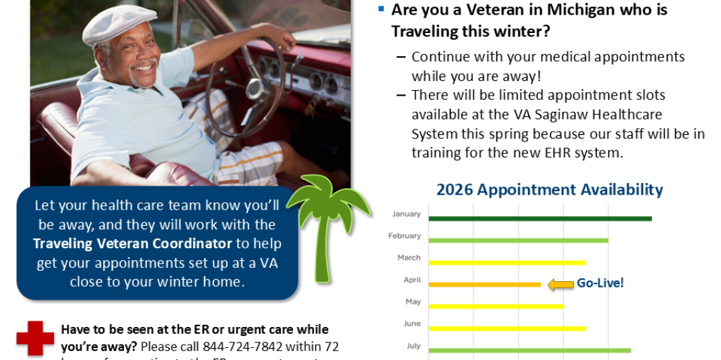 A palm tree graphic, an elderly man sitting in a classic car, and bar graphs.