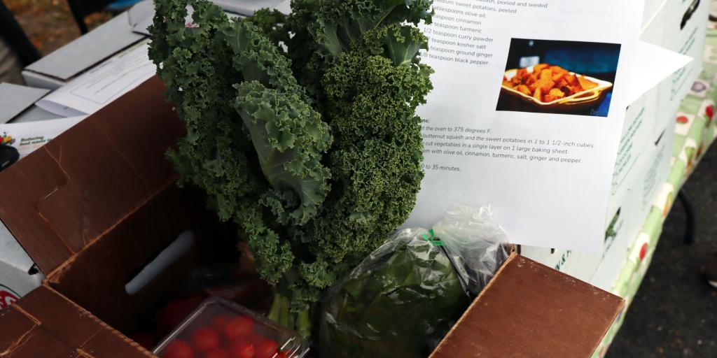 CSA share with recipe provided to Veterans in Veggies for Vets Program at WRJ VA