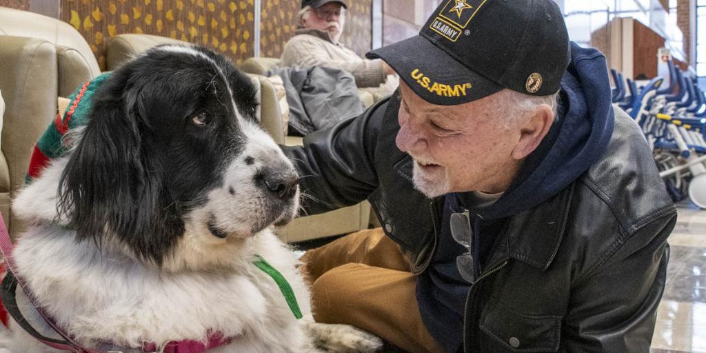 Veteran with dog