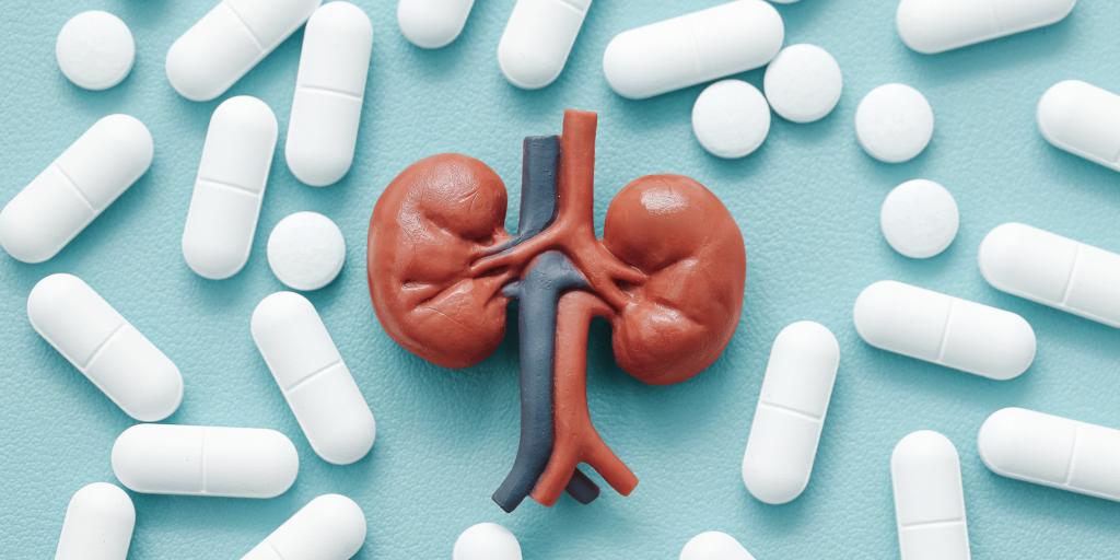 3D kidney with blood vessel among white pills on blue background.