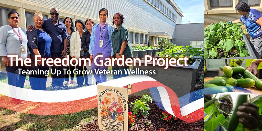 Collage promoting The Freedom Garden Project with photos of people, vegetables, and a garden sign.