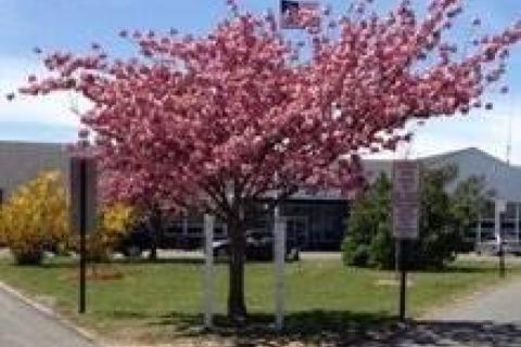 Provincetown Council on Aging Main Entrance