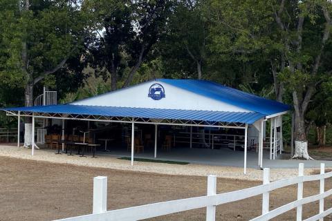 White gazebo with blue roof top, located under large green tree surrounded by white picket fence
