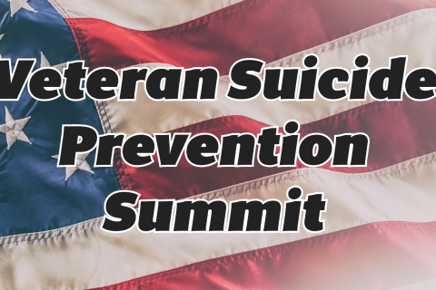 Unite For Our Heroes: The Veteran Suicide Prevention Summit | VA Marion ...
