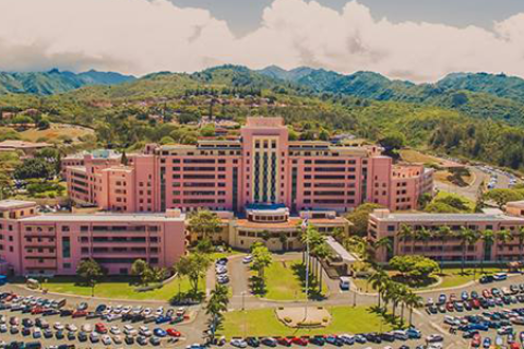 A large multi building pink colored facility situated on a hill