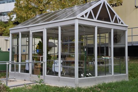 Whole health greenhouse | va cincinnati health care | veterans affairs