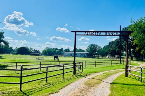 Equine therapy ranch site Kaufman