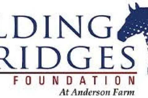 Official logo for Building Bridges Foundation  