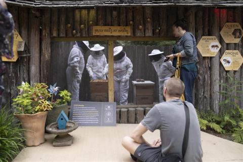 Veterans learn beekeeping skills in joint program with the VA Northeast Ohio Healthcare System, Cleveland Botanical Garden, and Youth Bee Works.