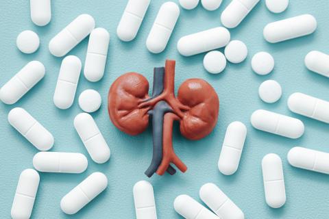 3D kidney with blood vessel among white pills on blue background.