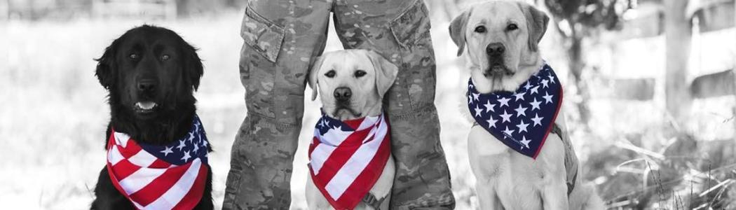 Three dogs wearing neck bandanas