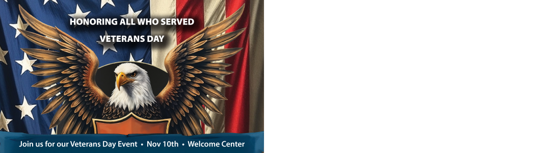 VA Ann Arbor Veterans Day Program flyer with date and location. American flag in background and a bald eagle with spread wings in middle.