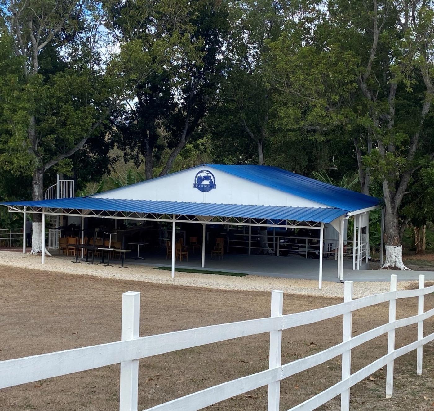 White gazebo with blue roof top, located under large green tree surrounded by white picket fence