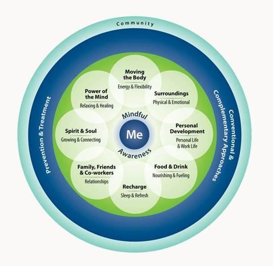 Whole Health Wheel