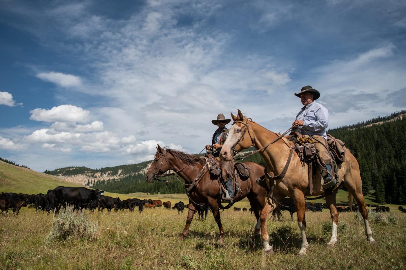 Photo of horseback riding in Wyoming.