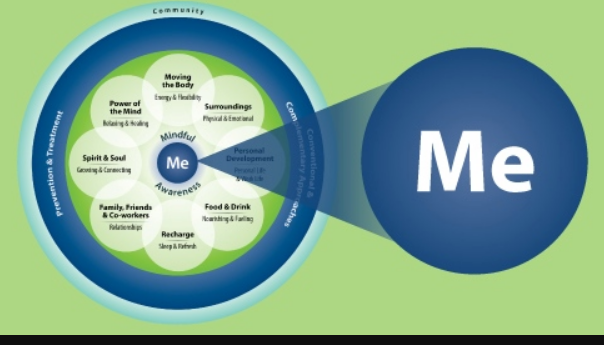 Wheel showing the whole health components.