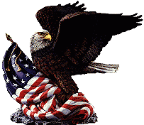 eagle with a flag