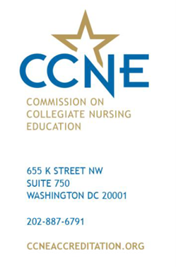 Nurse Practitioner Residency Programs | VA Southern Nevada Health Care ...